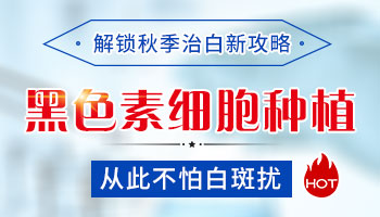白癜风白斑做黑色素移植的费用是多少