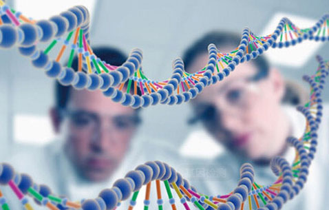 白癜风基因检测系统