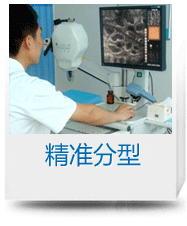 精准分型